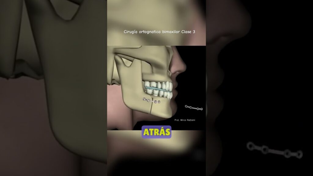 atlas de cirugia bucal y ortodoncia descargar