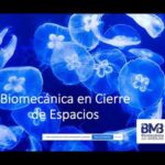 biomecanica en ortodoncia clinica nanda pdf