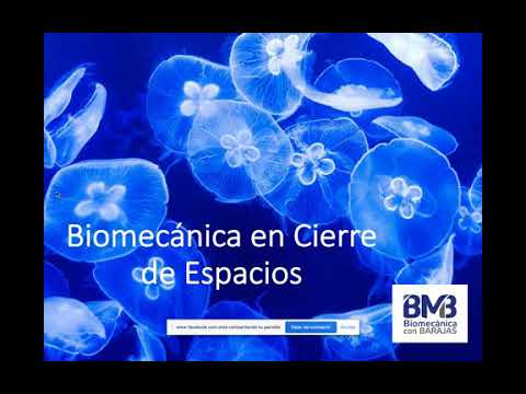 biomecanica en ortodoncia clinica nanda pdf