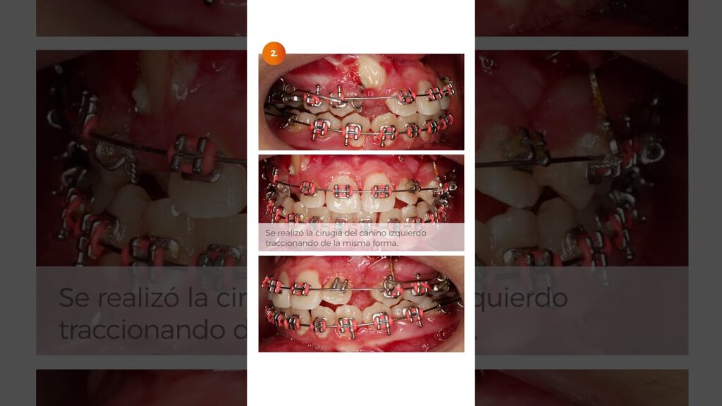 cif de taller de ortodoncia diagnosticos y oclusion sl