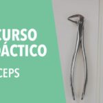 forceps incisivas inferior ortodoncia