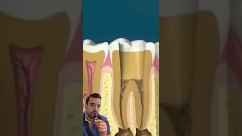medecy ortodoncia