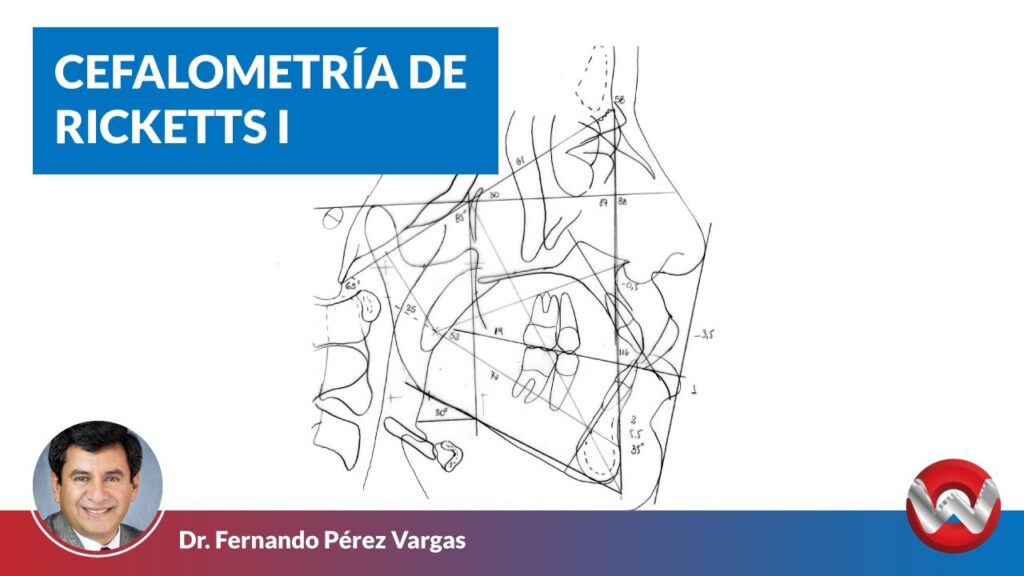 medidas cefalometricas en ortodoncia