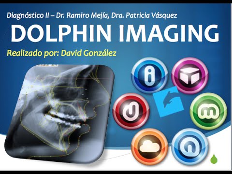 programa dolphin ortodoncia