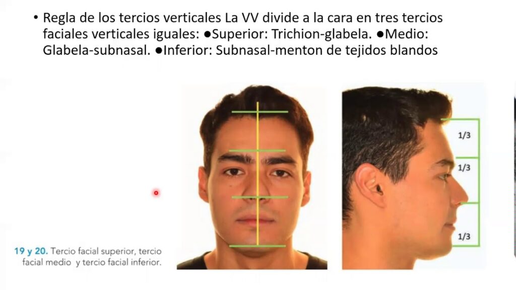 quintos faciales ortodoncia